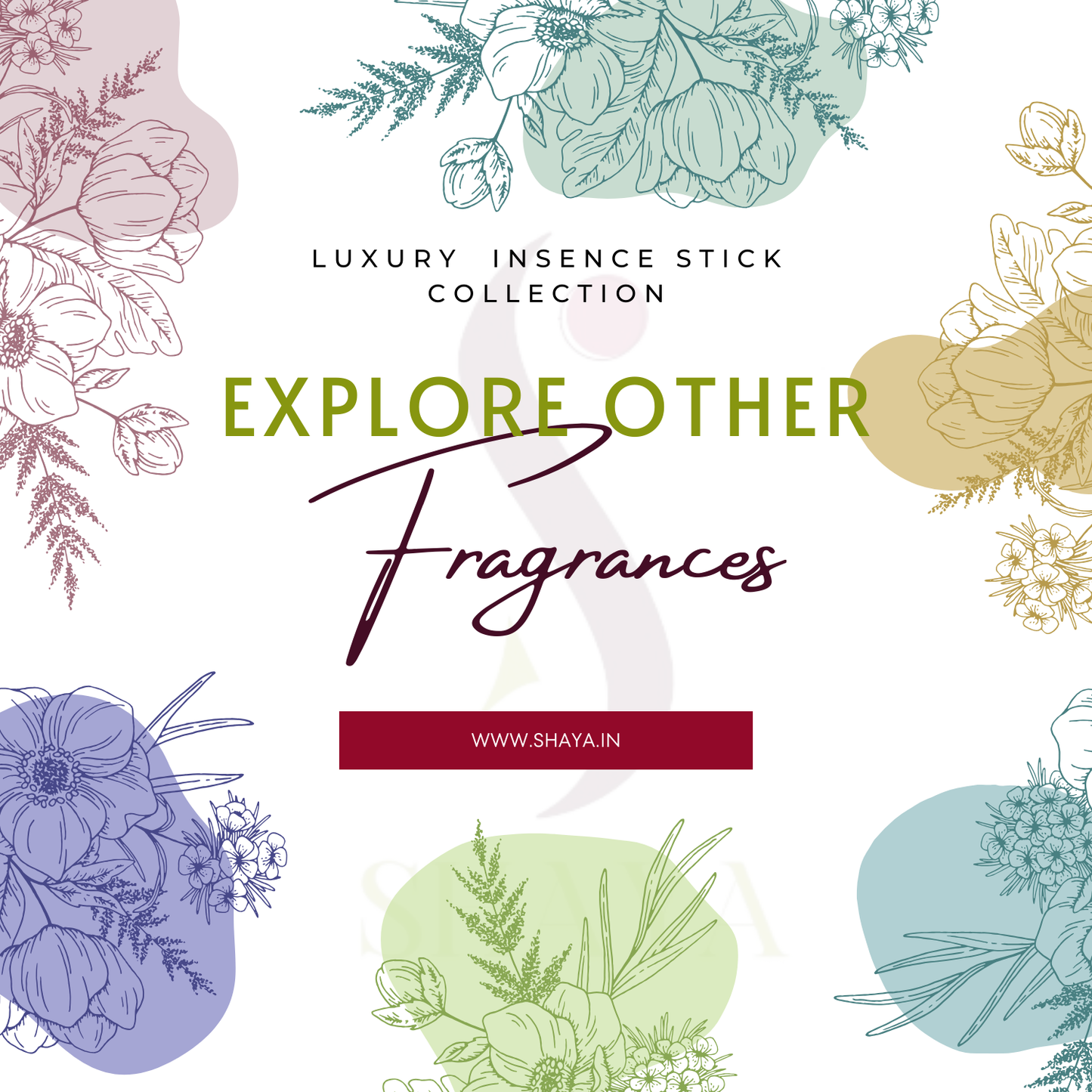 5-in-1 Fragrances | Rainforest Oasis, Midnight Breeze, Grounded Flames, Turquoise Tides & Morning Star