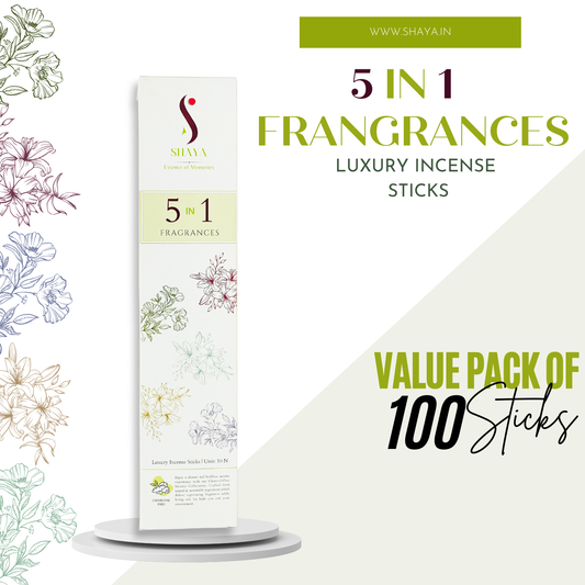 5-in-1 Fragrances | Rainforest Oasis, Midnight Breeze, Grounded Flames, Turquoise Tides & Morning Star